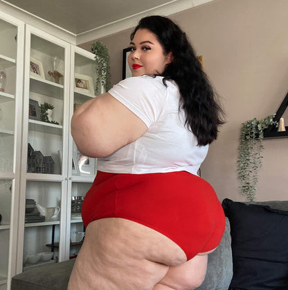 Super High Waist Knickers - Lobster